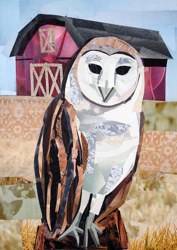 Barn Owl by collage artist Megan Coyle