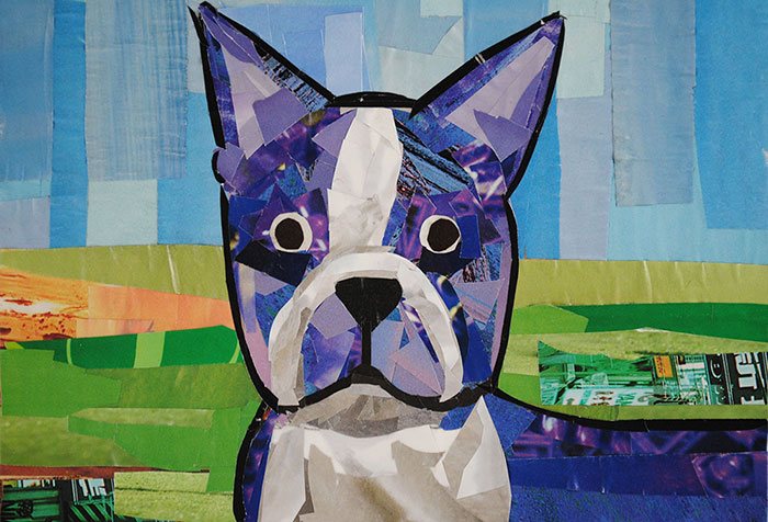 Boston Terrier by collage artist Megan Coyle