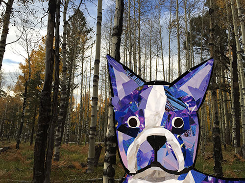 Bosty goes to Flagstaff by collage artist Megan Coyle