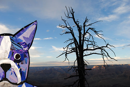 Bosty goes to the Grand Canyon by collage artist Megan Coyle