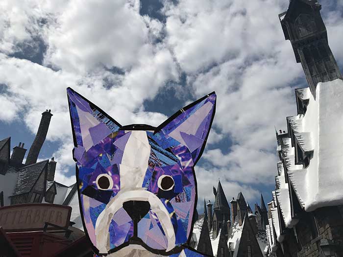 Bosty goes to Harry Potter World by Megan Coyle