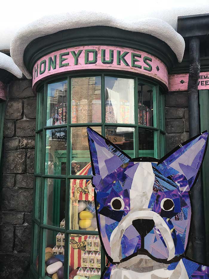 Bosty goes to Harry Potter World by Megan Coyle