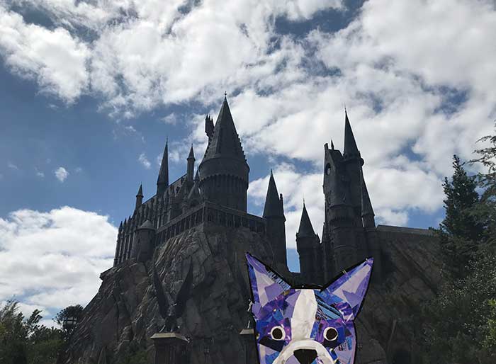 Bosty goes to Harry Potter World by Megan Coyle