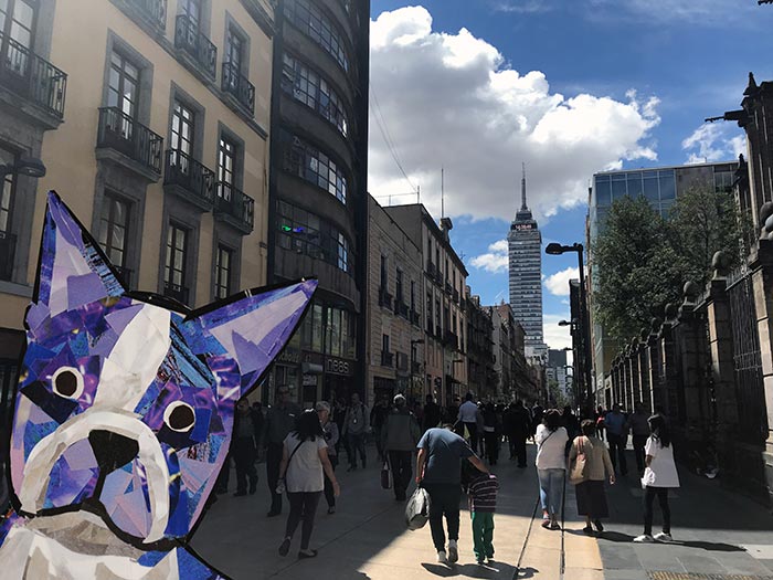 Bosty goes to Mexico City