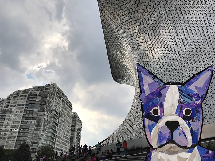 Bosty goes to Mexico City