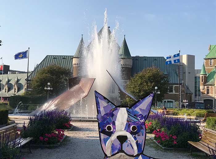 Bosty the Boston Terrier by Megan Coyle goes to Quebec City