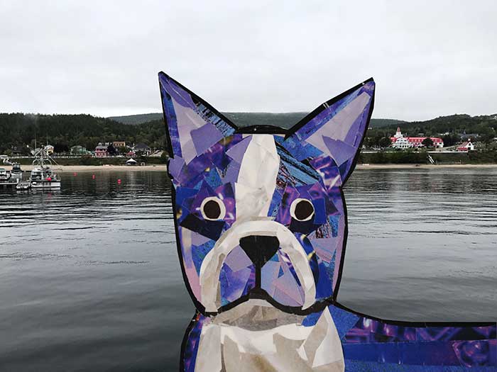 Bosty the Boston Terrier by Megan Coyle goes to Quebec City