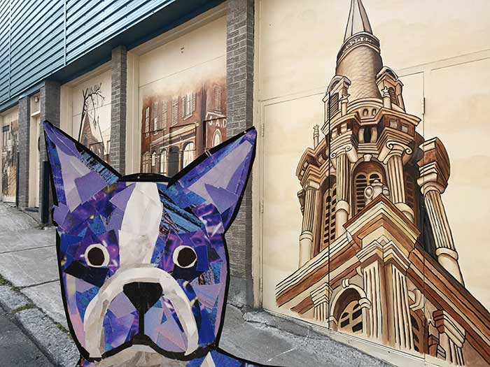 Bosty the Boston Terrier by Megan Coyle goes to Quebec City