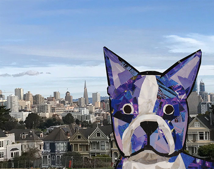 Bosty goes to San Francisco