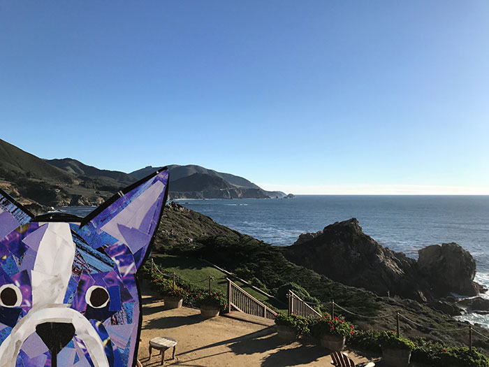 Bosty goes to San Francisco