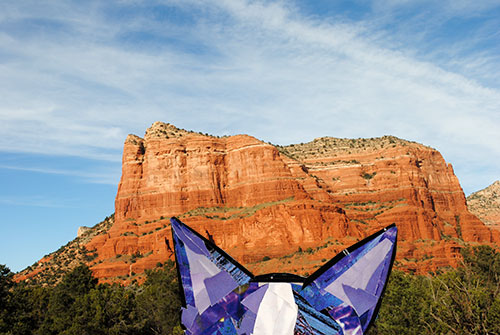 Bosty goes to Sedona by collage artist Megan Coyle