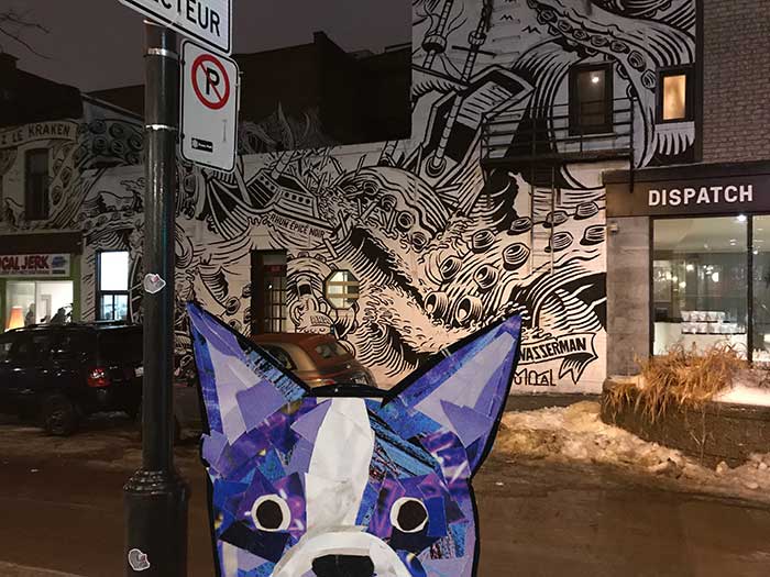 Bosty the Boston Terrier by Megan Coyle goes to Montreal