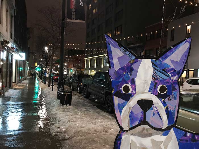 Bosty the Boston Terrier by Megan Coyle goes to Montreal