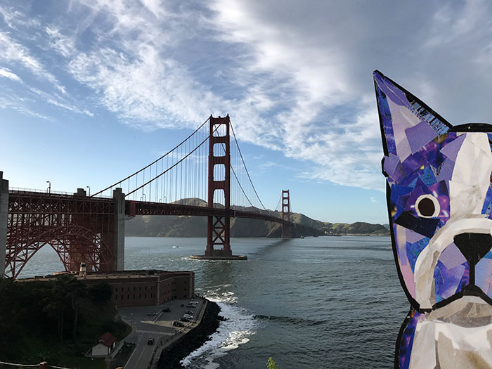 Bosty goes to San Francisco