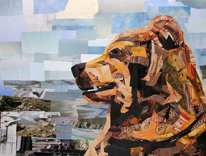 How to Make a Paper Collage  Megan Coyle: Artist & Illustrator