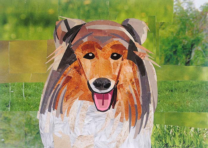Collie by collage artist Megan Coyle