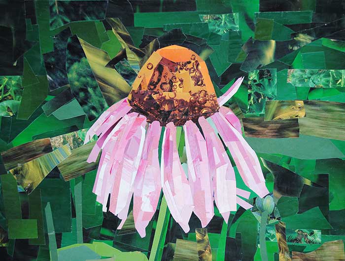 Cone Flower by collage artist Megan Coyle