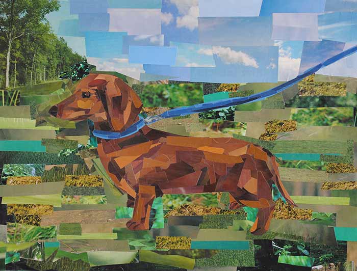 Dachshund by collage artist Megan Coyle