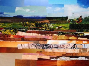 Fields by collage artist Megan Coyle