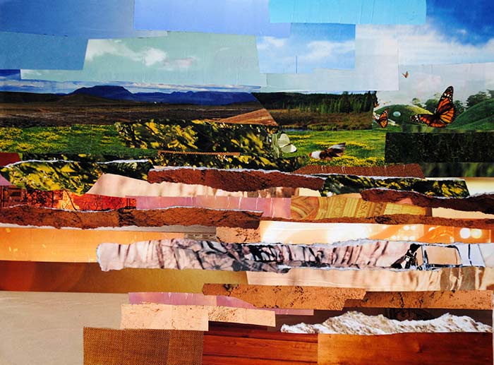 Abstract Fields by collage artist Megan Coyle