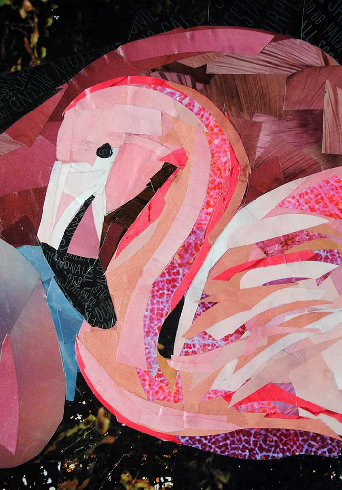 Flamingo by collage artist Megan Coyle