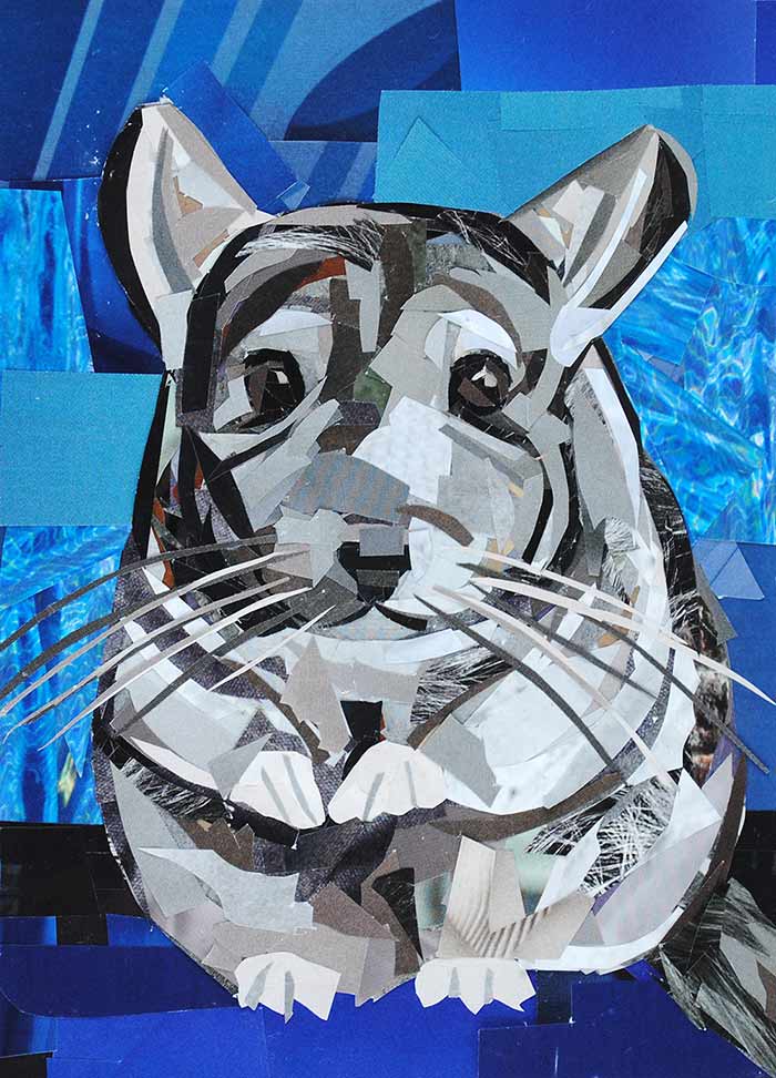 Fluffy the Chinchilla - Front by collage artist Megan Coyle
