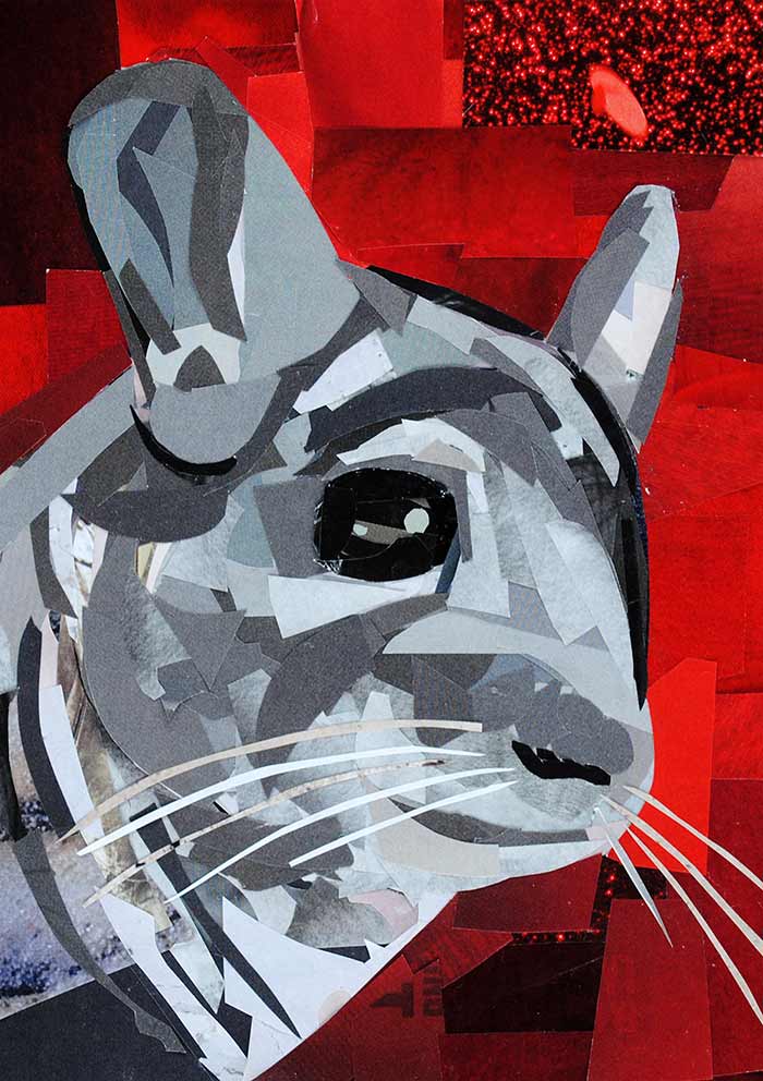 Fluffy the Chinchilla - Profile by collage artist Megan Coyle