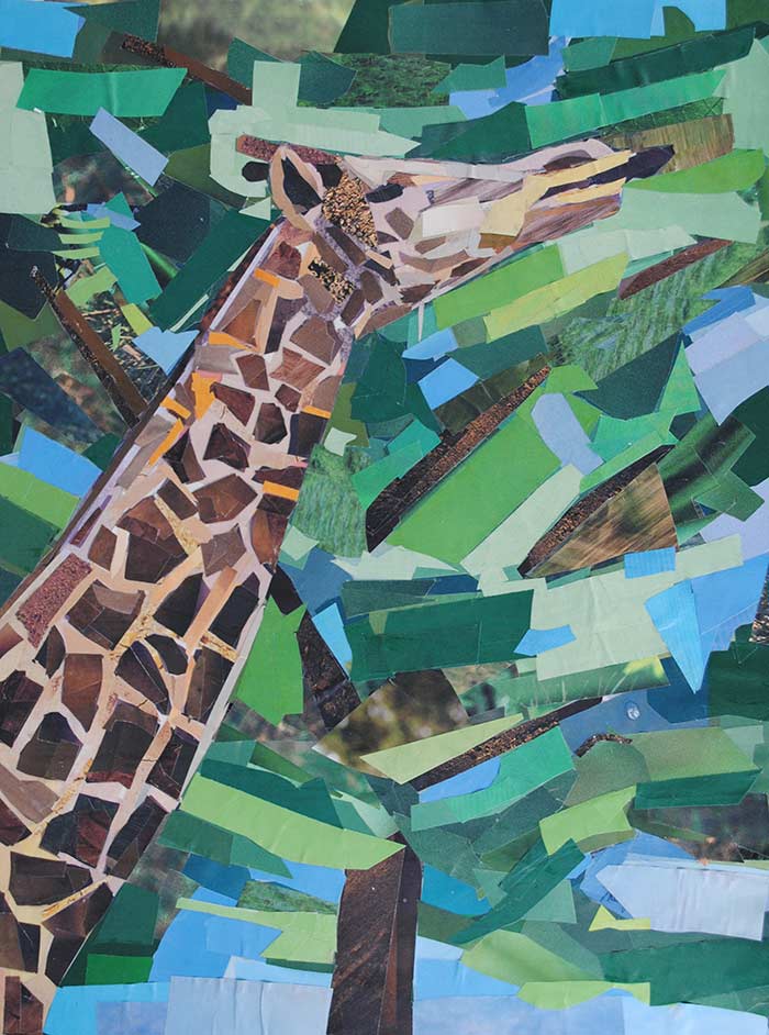 Giraffe by collage artist Megan Coyle