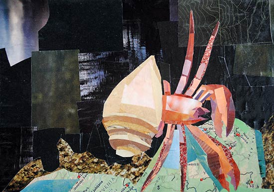 Hermit Crab by collage artist Megan Coyle