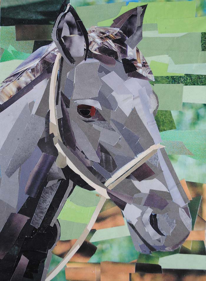 Portrait of a Horse by collage artist Megan Coyle