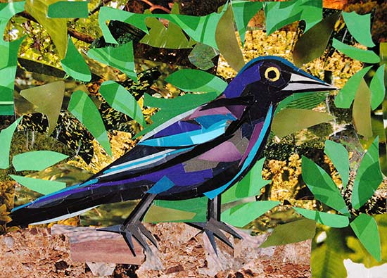 Inquisitive Birdy by collage artist Megan Coyle
