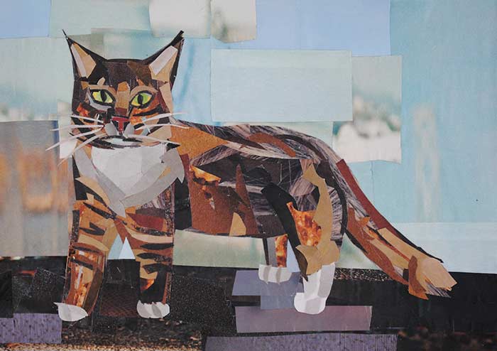 Maine Coon by collage artist Megan Coyle