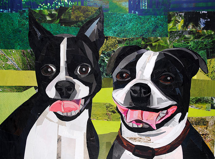 Meet the Bostons - Ivy and Molly by collage artist Megan Coyle