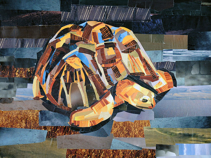 Turtle by collage artist Megan Coyle