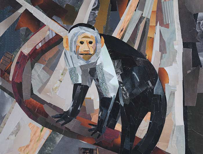 Mr. Monkey by collage artist Megan Coyle