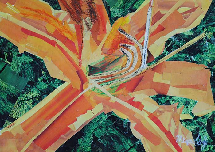 Orange Lily by Megan Coyle