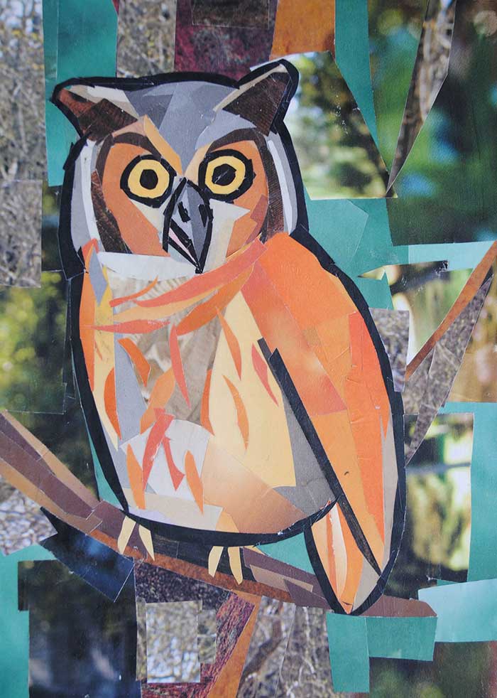 Owl by collage artist Megan Coyle
