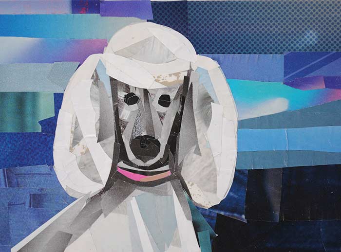 Poodle by collage artist Megan Coyle