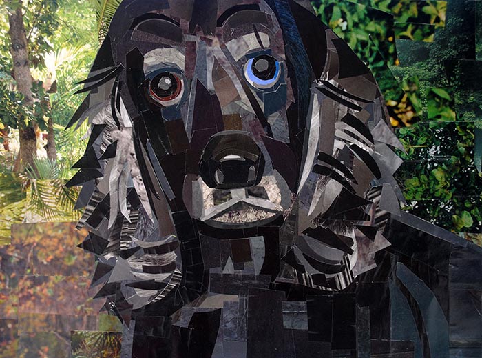 Portrait of a Dog by collage artist Megan Coyle