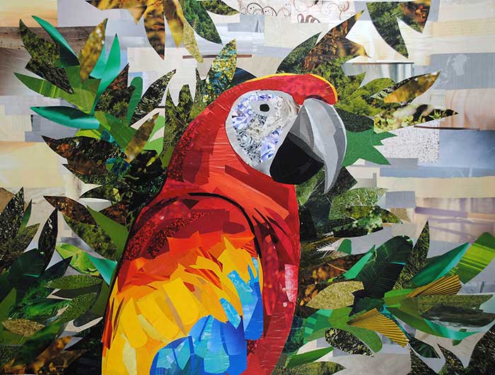 Scarlet Macaw by collage artist Megan Coyle