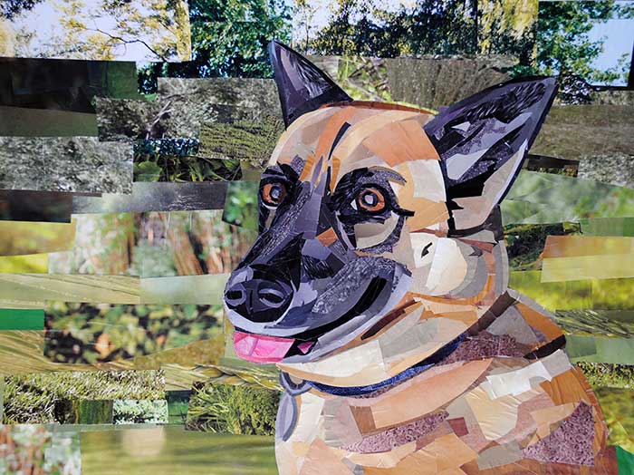 Shelby by collage artist Megan Coyle