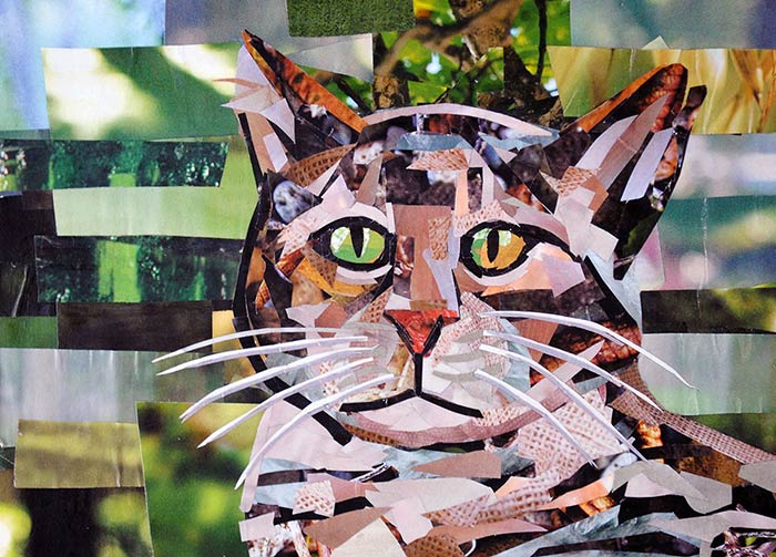 Tabby Cat by collage artist Megan Coyle