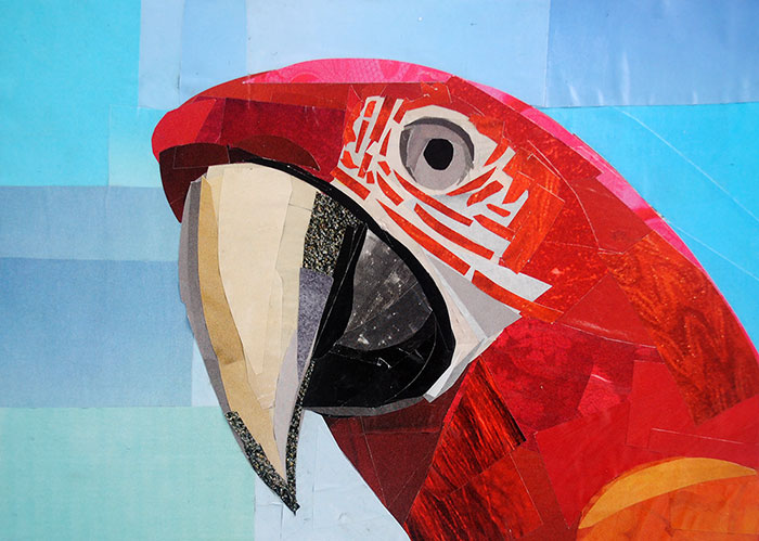 Talking Like a Parrot by collage artist Megan Coyle