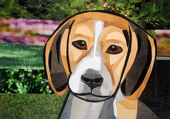 The Contemplative Beagle by collage artist Megan Coyle