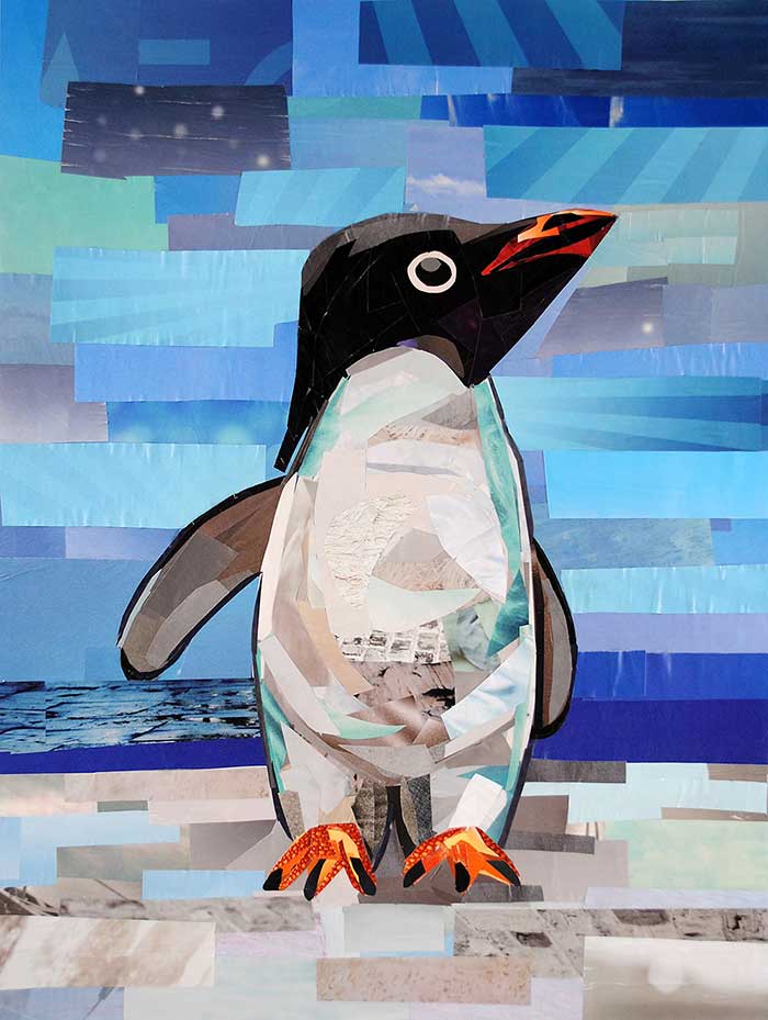 The Curious Penguin