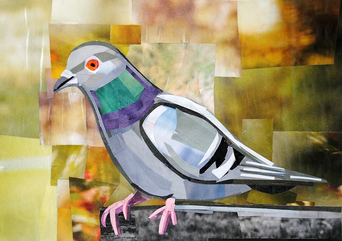The Exotic Pigeon by collage artist Megan Coyle