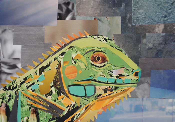 The Wise Lizard by collage artist Megan Coyle