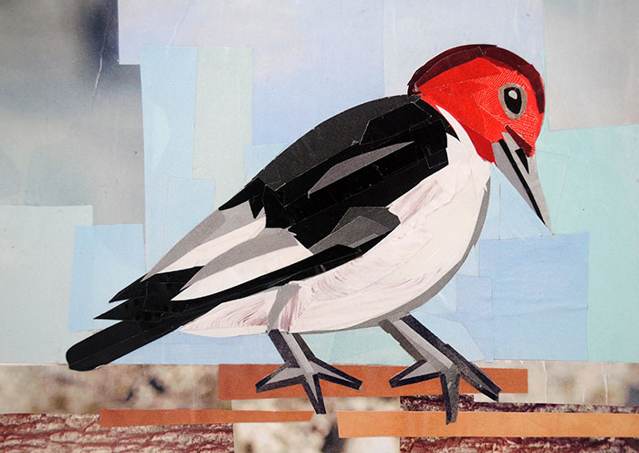 The Woodpecker Carpenter by collage artist Megan Coyle
