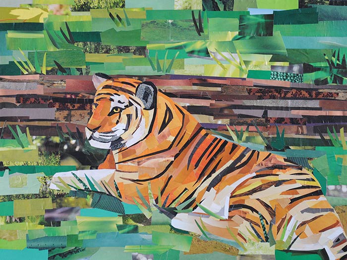 Tiger by collage artist Megan Coyle