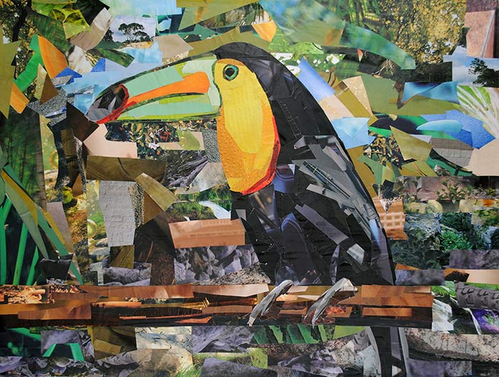 Toucan by collage artist Megan Coyle